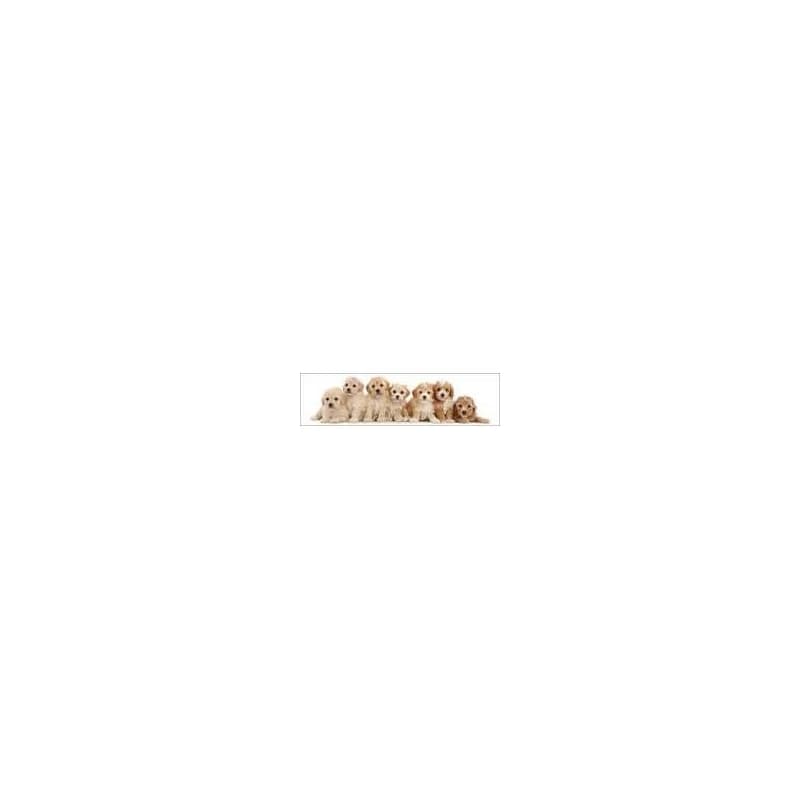 3D záložka - Seven puppies - autor neuvedený 1