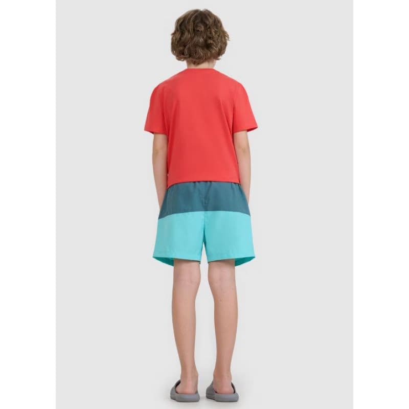 Chlapčenské plavky 4F JUNIOR BOARD SHORTS M116-46S-TEAL 4