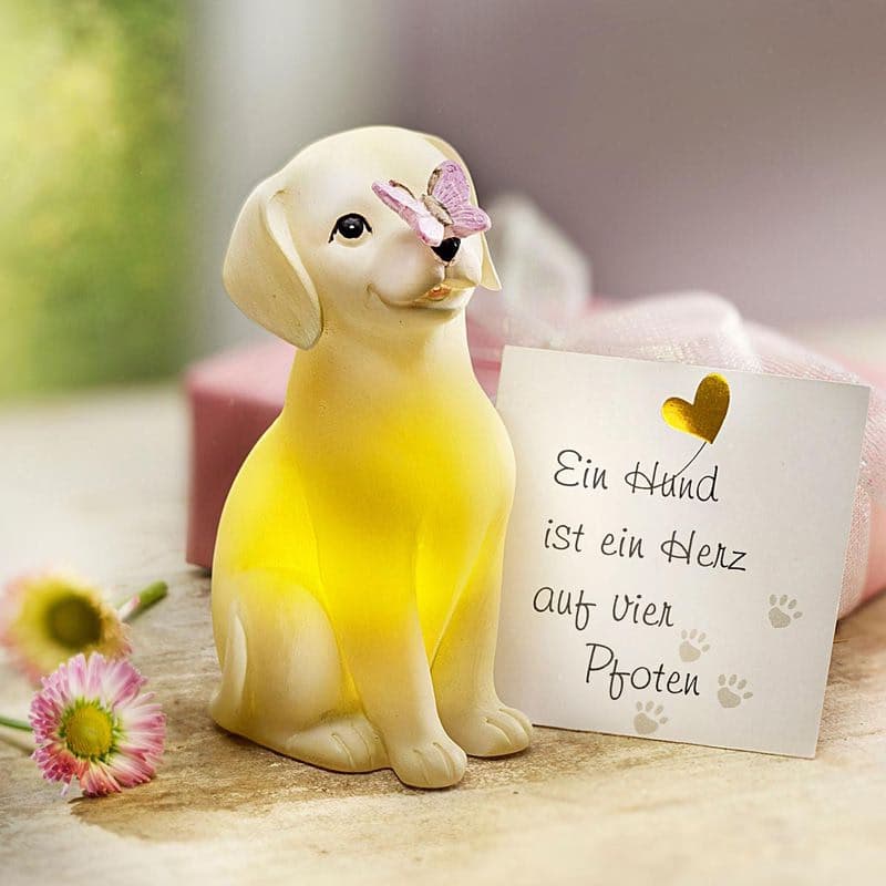 Darčeková sada LED figúrky Doggie 1