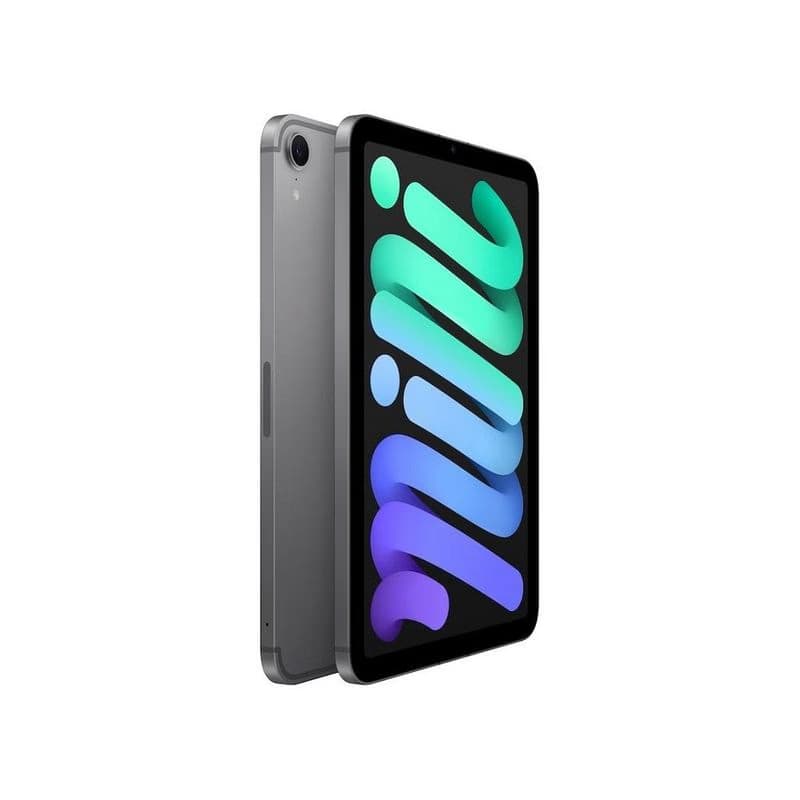 Apple iPad mini/(2024) Wi-Fi + Cellular/8,3"/2266x1488/256GB/iPadOS18/Space Gray 3