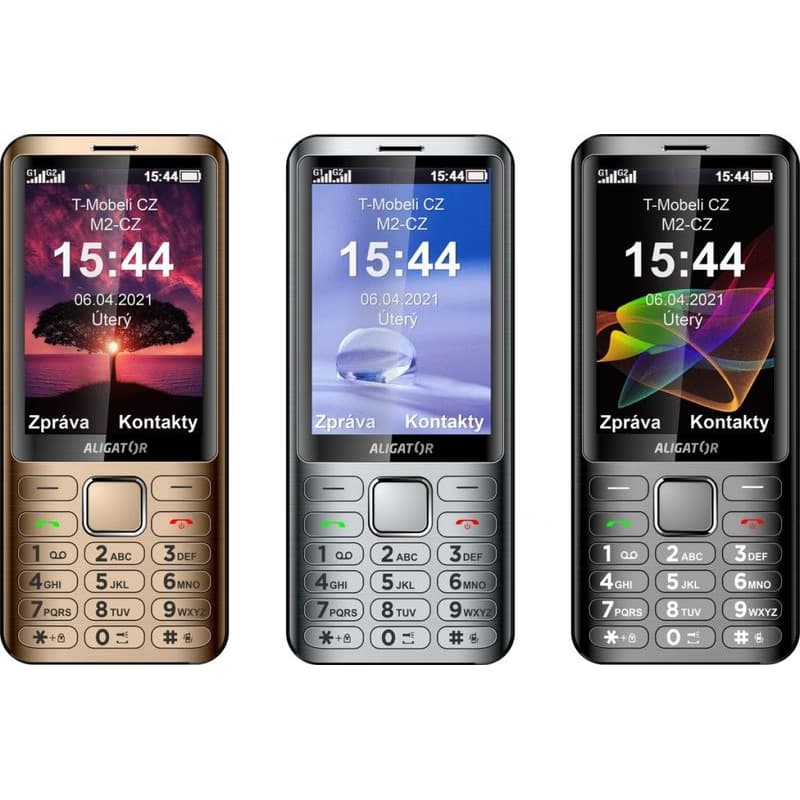 Aligator D950 Dual SIM, strieborná 3