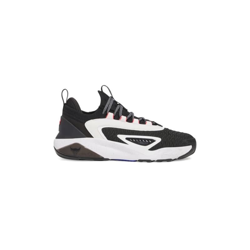 Pánska športová obuv (tréningová) UNDER ARMOUR PROJECT ROCK UA Project Rock 7 1
