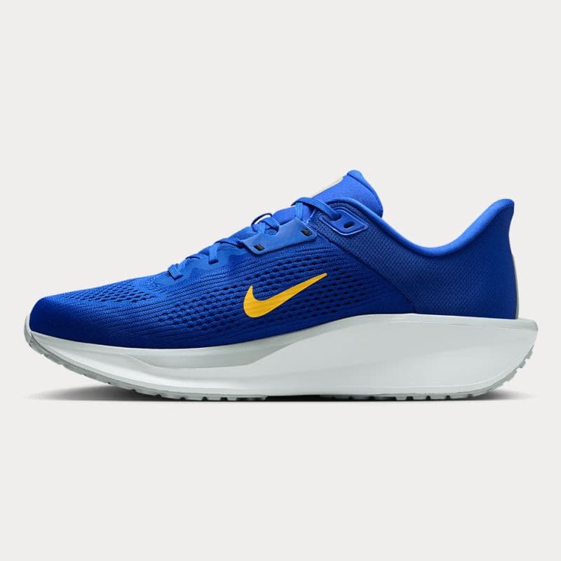 Pánska športová obuv (tréningová) NIKE Quest 6 M royal laser orange wolf grey white 3