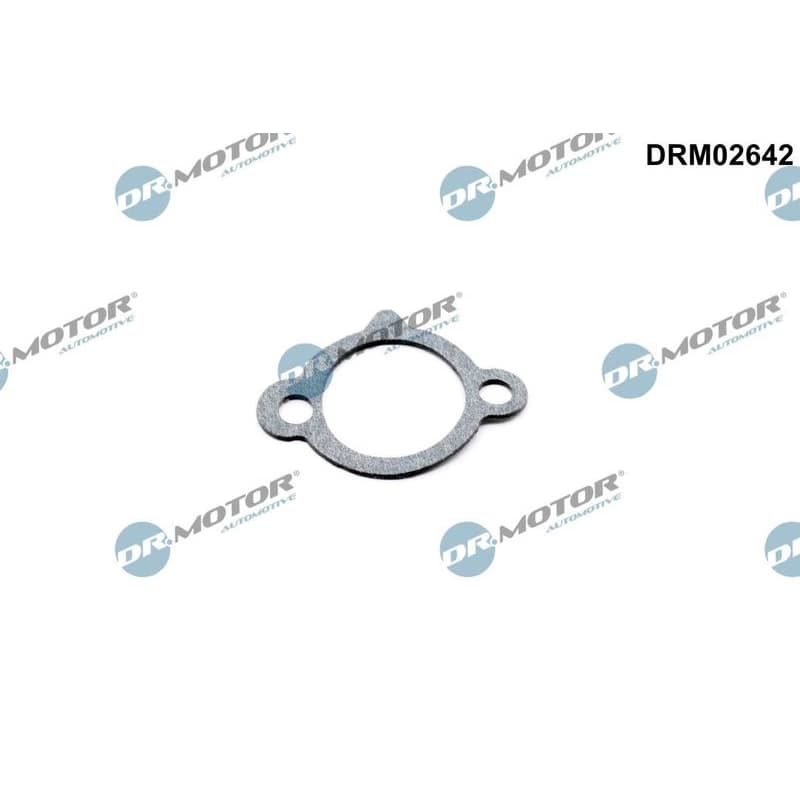DR.MOTOR AUTOMOTIVE Tesnenie napínacej lišty rozvodovej reťaze DRM02642 1
