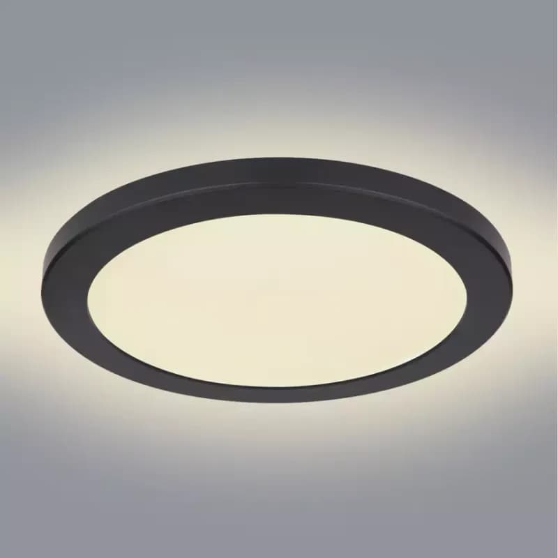 Stropná lampa 12379-24B LED 24W D30 čierna PL1 1