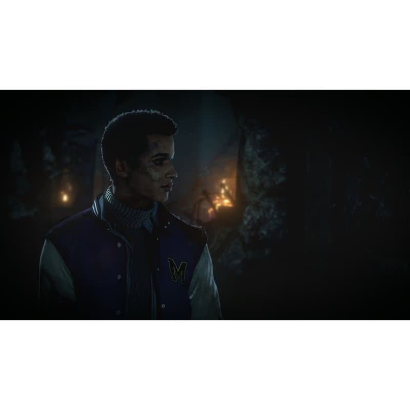Until Dawn hra PS4 4