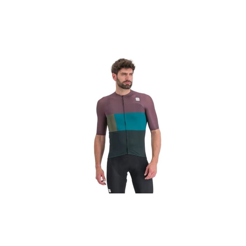 Pánsky cyklistický dres s krátkym rukávom SPORTFUL Snap jersey, scarab huckleberry