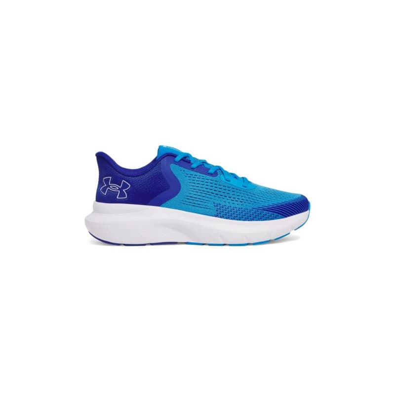 Pánska bežecká obuv UNDER ARMOUR UA Charged Rogue 5 M electric blue royal white