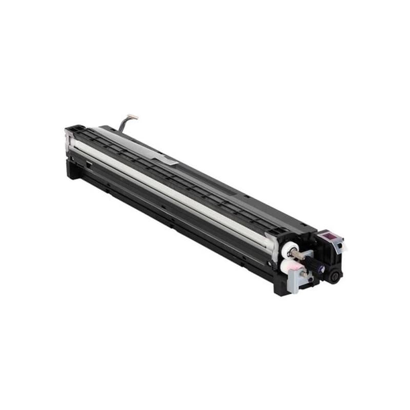 RICOH D1773022 - originálny