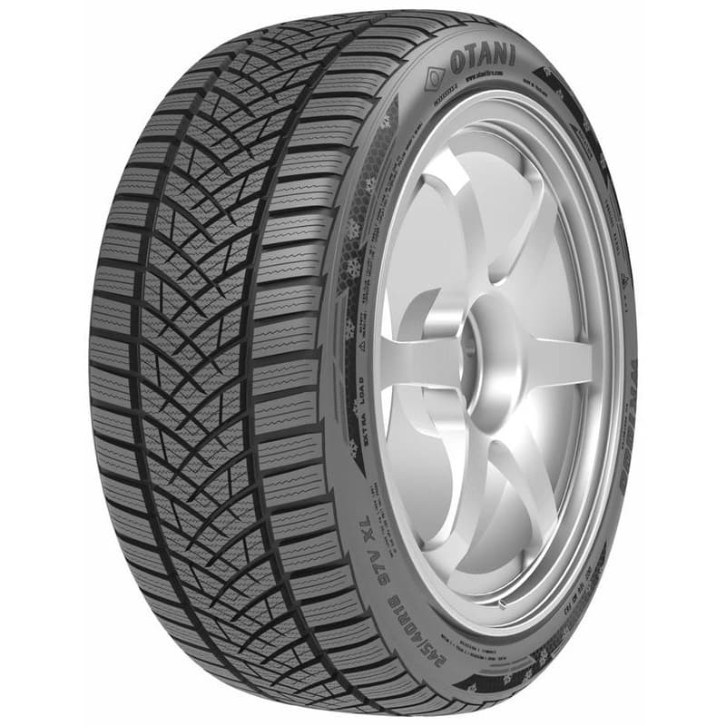 OTANI WK1000 205/55 R16 91 H Zimné 1
