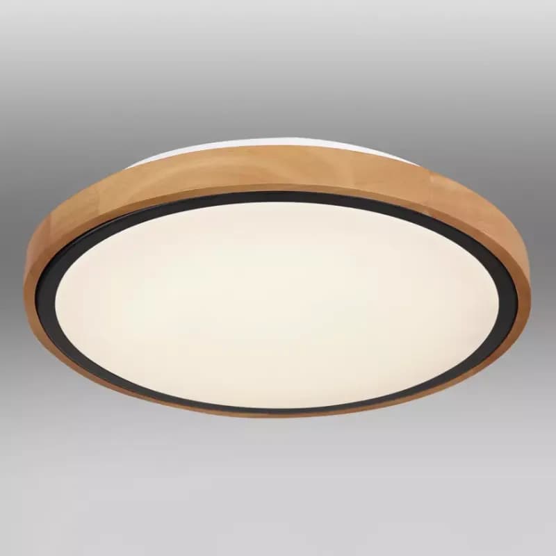 Stropnica 41764-12 LED 12W čierna PL