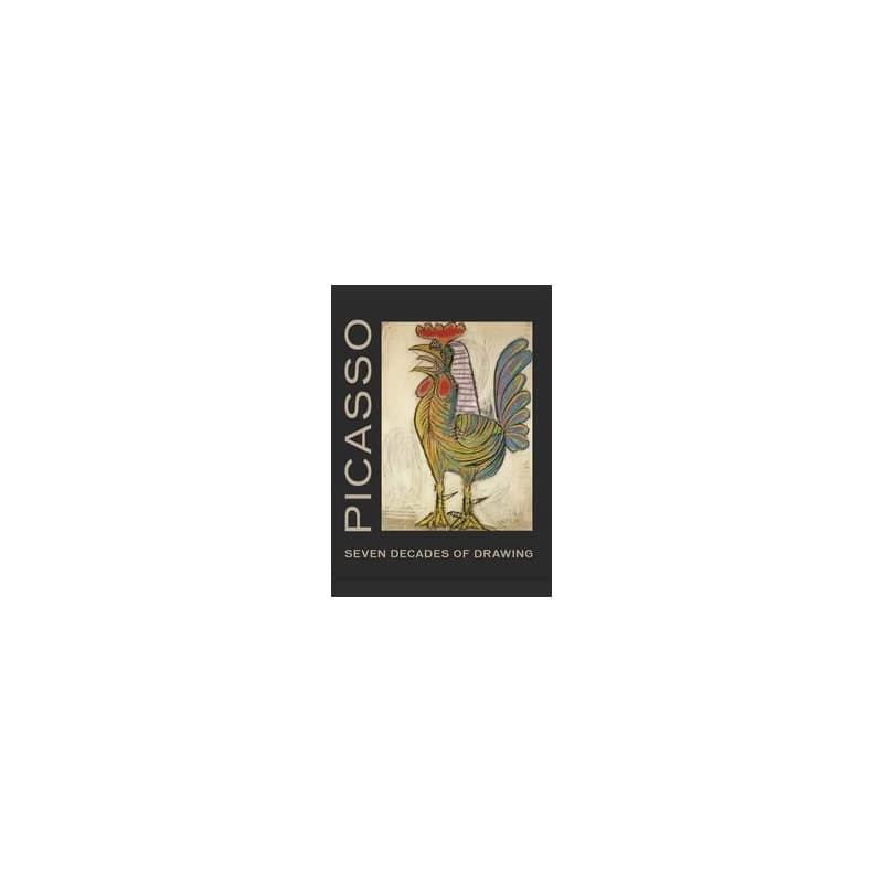 Picasso: Seven Decades of Drawing - Olivier Berggruen, Christine Poggi, Rizzoli International Publications 1