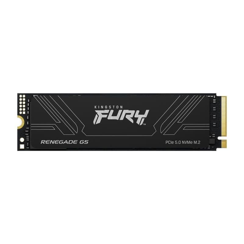 Kingston Fury Renegade G5/1TB/SSD/M.2 NVMe/Čierna/Heatsink/5R 1
