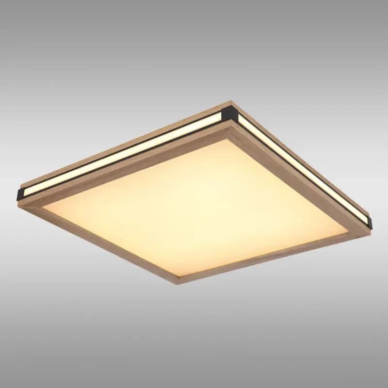 Stropné svietidlo prisadené 41589D2 LED  PL1 1