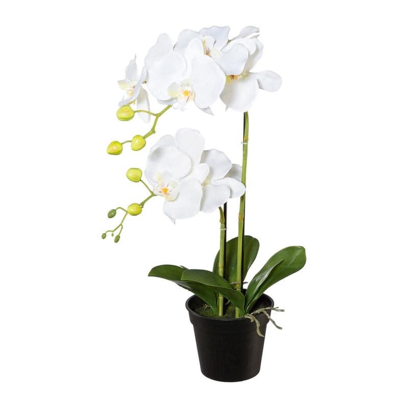 Orchidea v kvetináči, 55 cm, biela 1