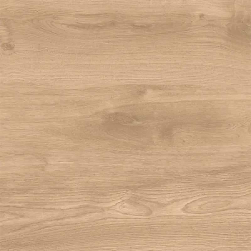 Latina Beige 60/60/2