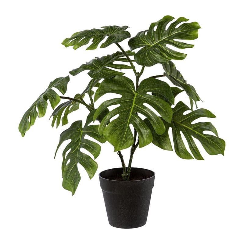 Umelá rastlina Philodendron 1