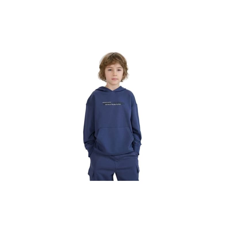 Chlapčenská mikina s kapucňou 4F JUNIOR SWEATSHIRT-JWSS25TSWSM1511-22S-GREY
