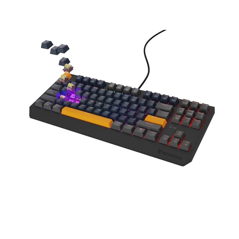GENESIS herná klávesnica THOR 230/TKL/RGB/Outemu Panda/Drôtová USB/US layout/Naval Blue Positive 6