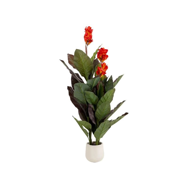 Dekoratívna rastlina Canna Lily 165 cm 1