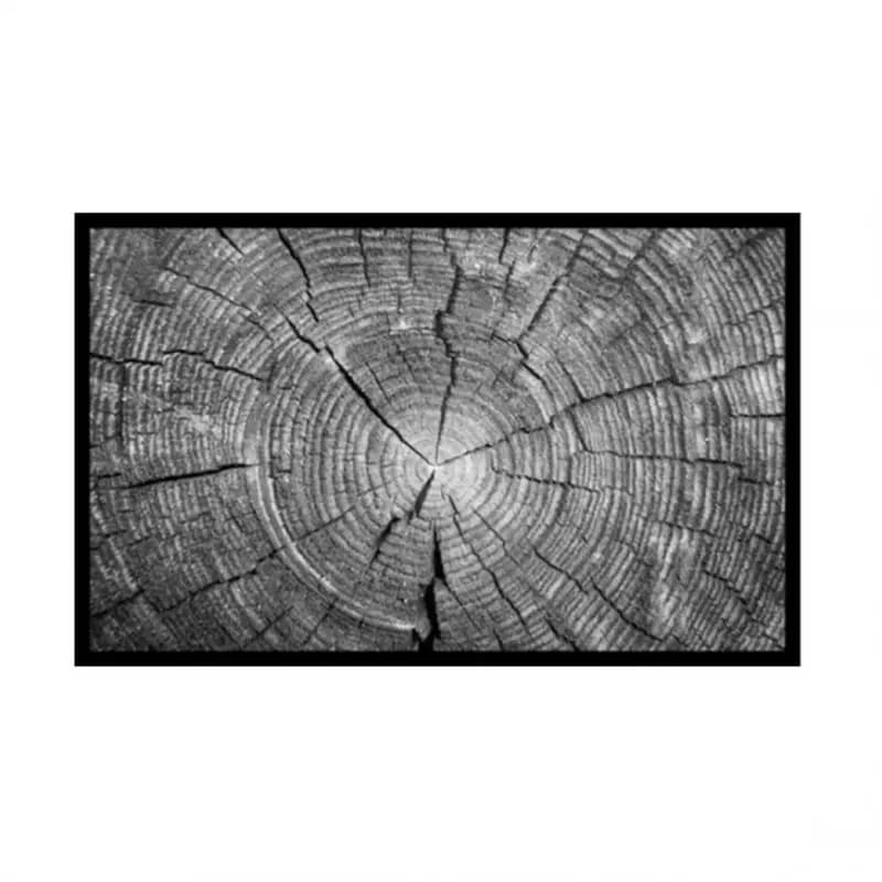 Rohožka Trunk 50x80 cm 02010003 1