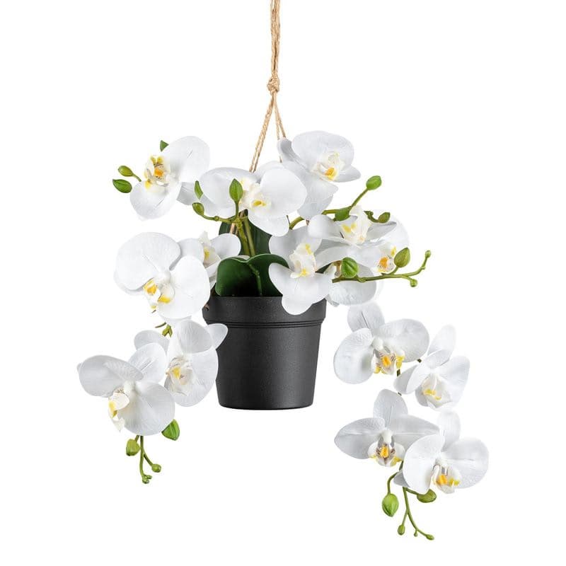 Orchidea v závesnom kvetináči, 25 cm, biela 1