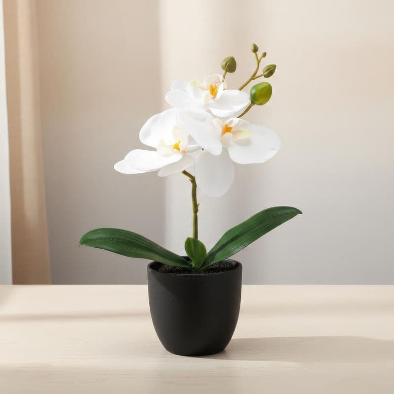 Umelá orchidea Phalaenopsis, biela 1