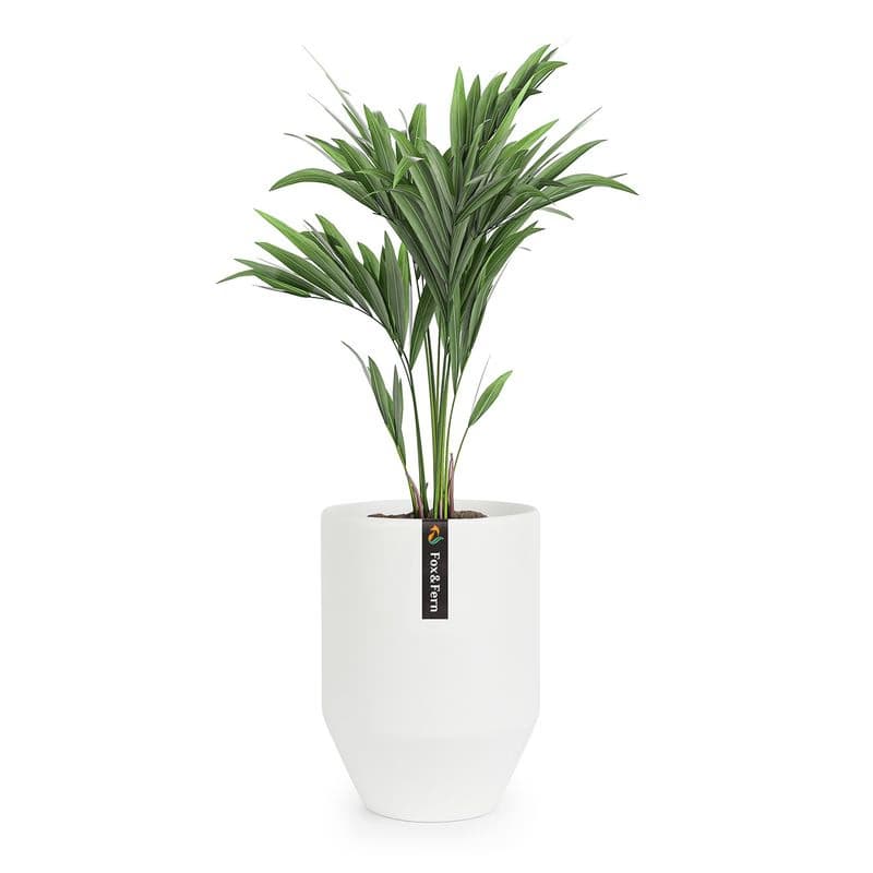 Fox & Fern Almere Kvetináč Polystone Ideálny pre rastliny, ručne vyrobený, okrúhly 1