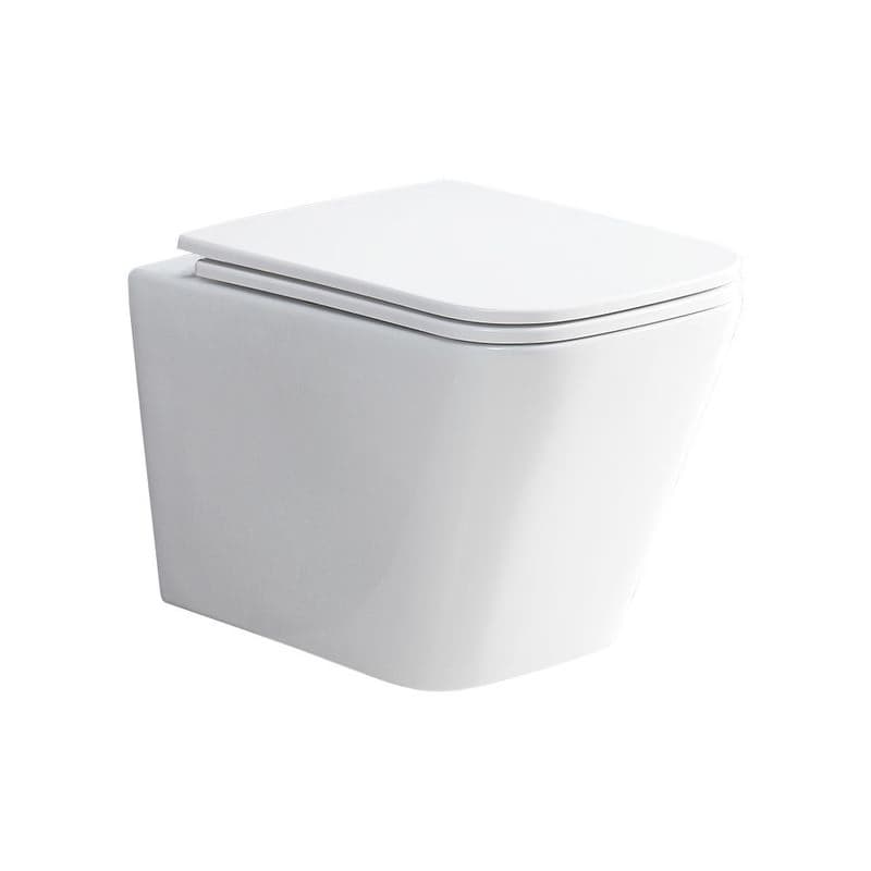 Mereo WC závesné kapotované, RIMLESS, 490x340x350, keramické, vr. sedátka CSS118S VSD83S