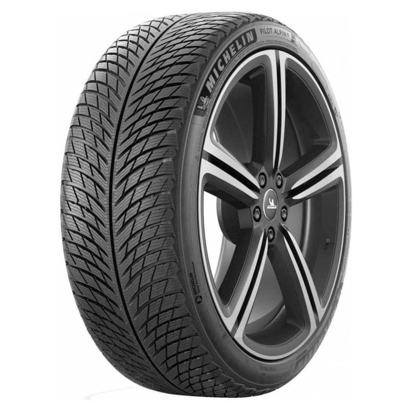 Michelin PILOT ALPIN 5 315/30 R21 105 V Zimné 1