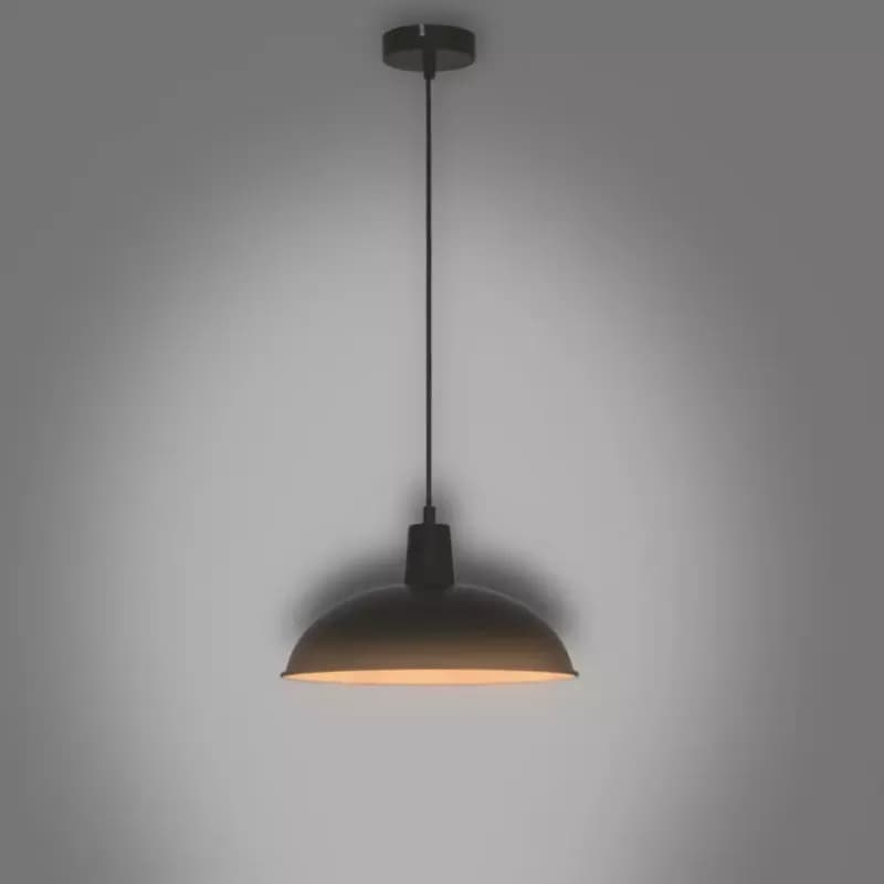 Luster  F19002-1P  LW1 1