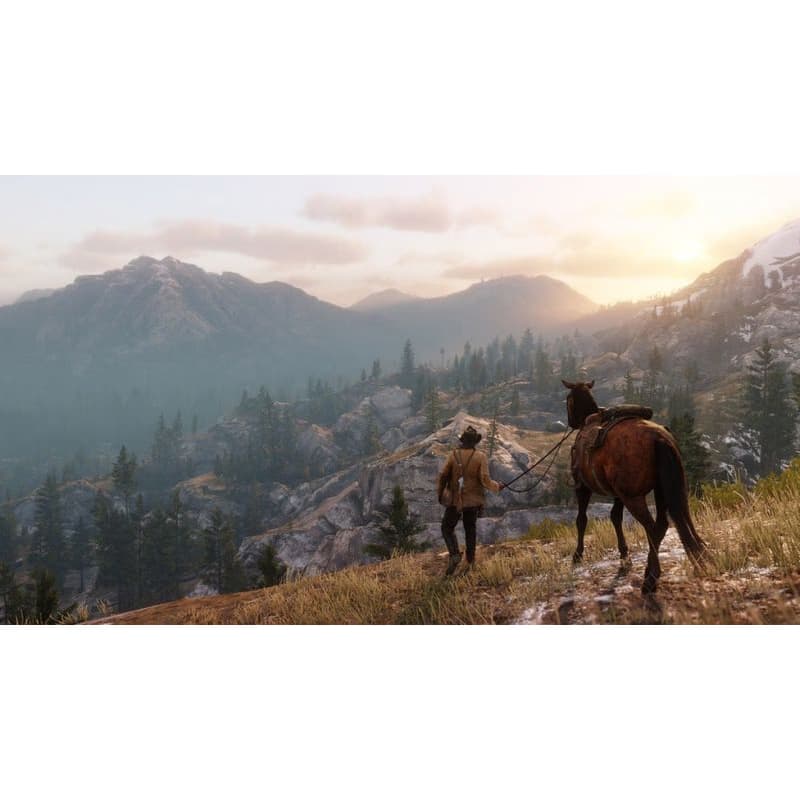 PS4 hra Red Dead Redemption 2 5