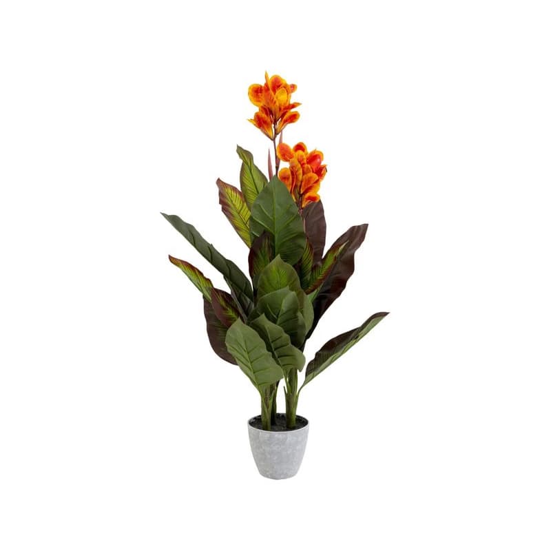 Dekoratívna rastlina Canna Lily 115 cm