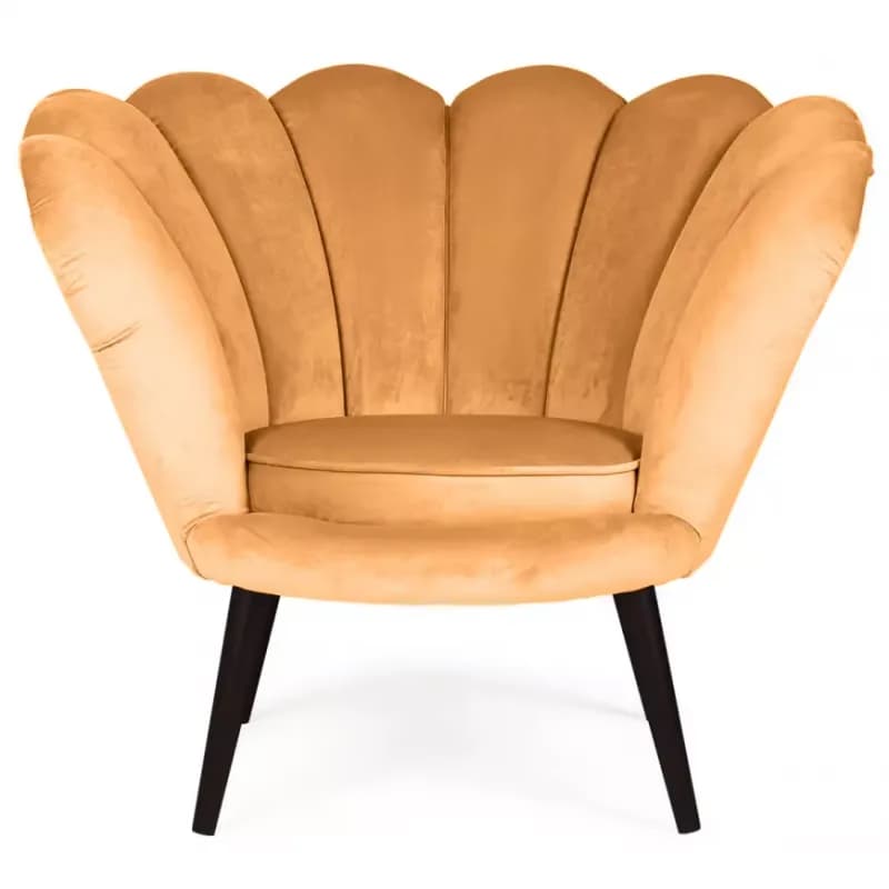 Kreslo Tristan Bluvel 68/venge 1