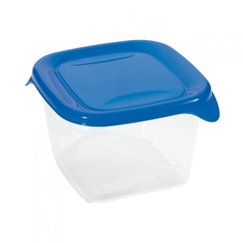 CURVER Dóza na potraviny FRESH & GO 0,45L | transparentná / modrá 2