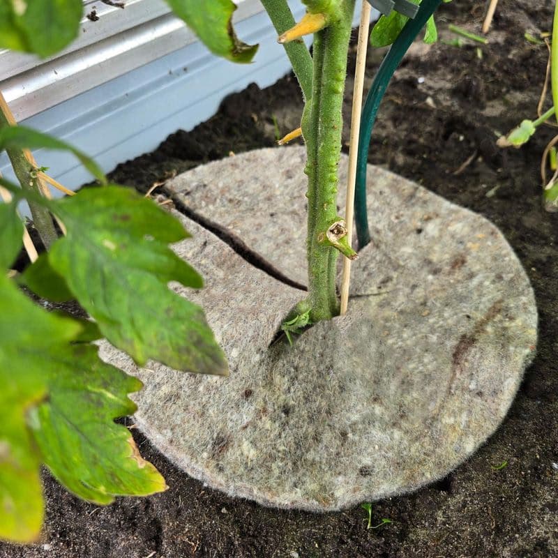 Prírodná záhradná vlna Mary's Disc, 37 cm 1