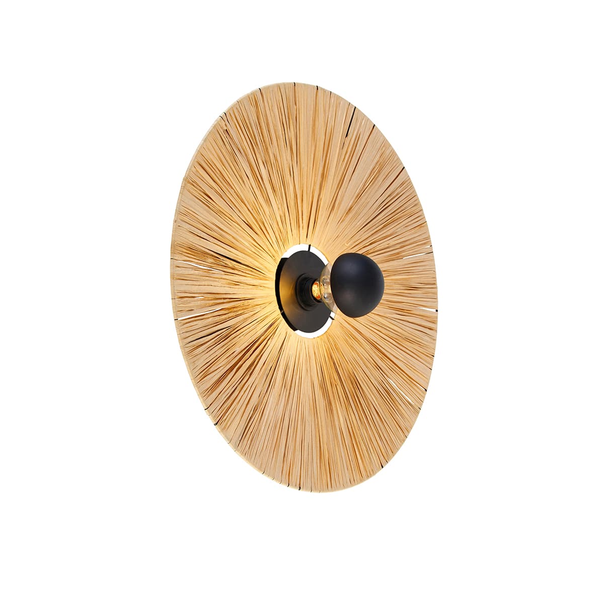 Rustikálna nástenná lampa čierna s lanom 60 cm - Leia 1