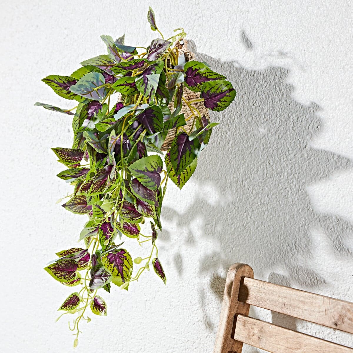 Previsnutá rastlina