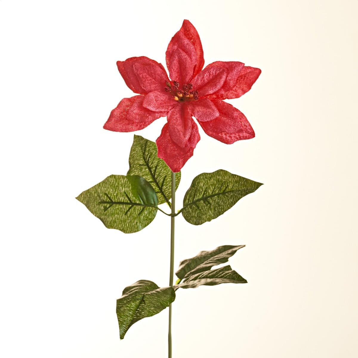 Vetvička poinsettie 1