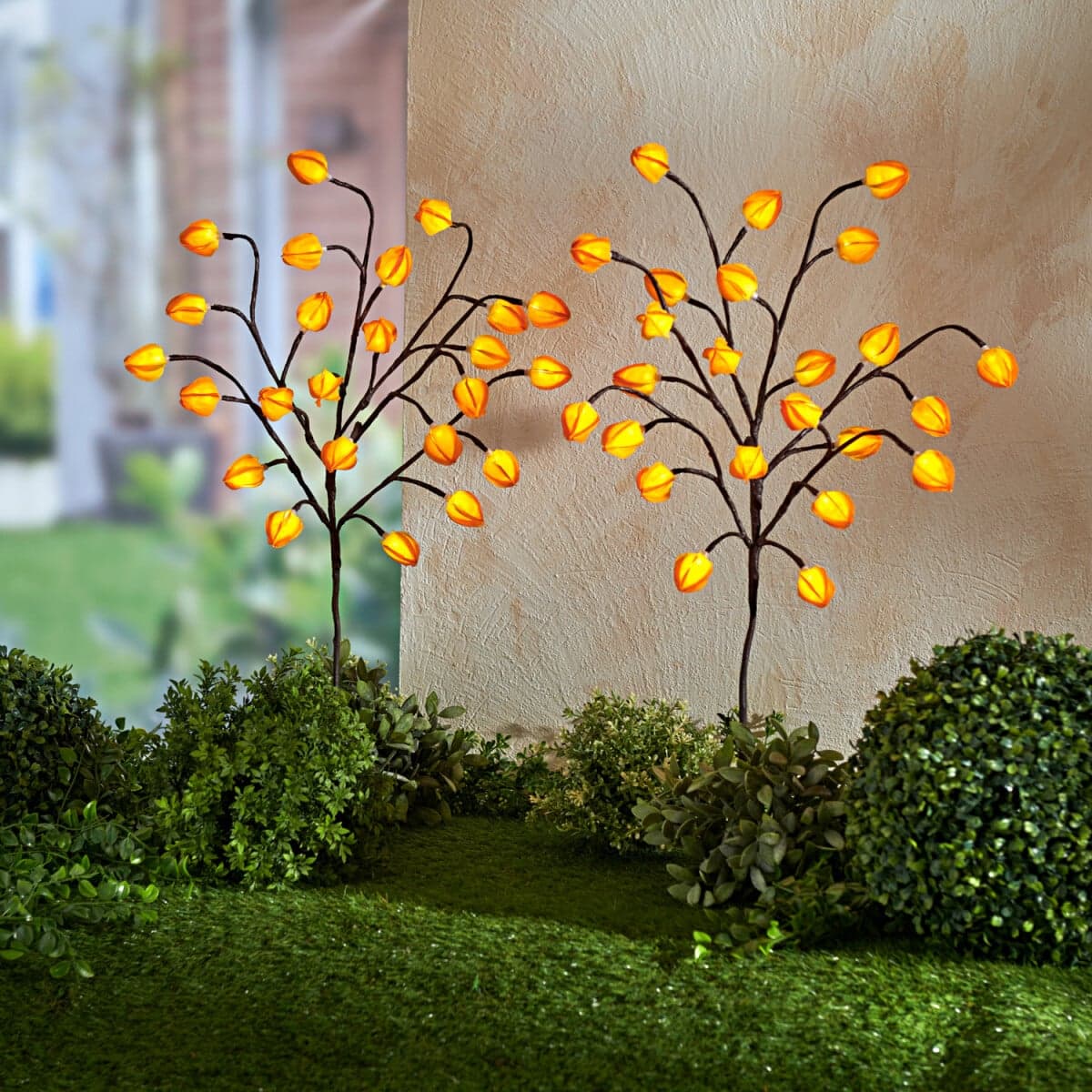 2 LED svetlá Physalis 1
