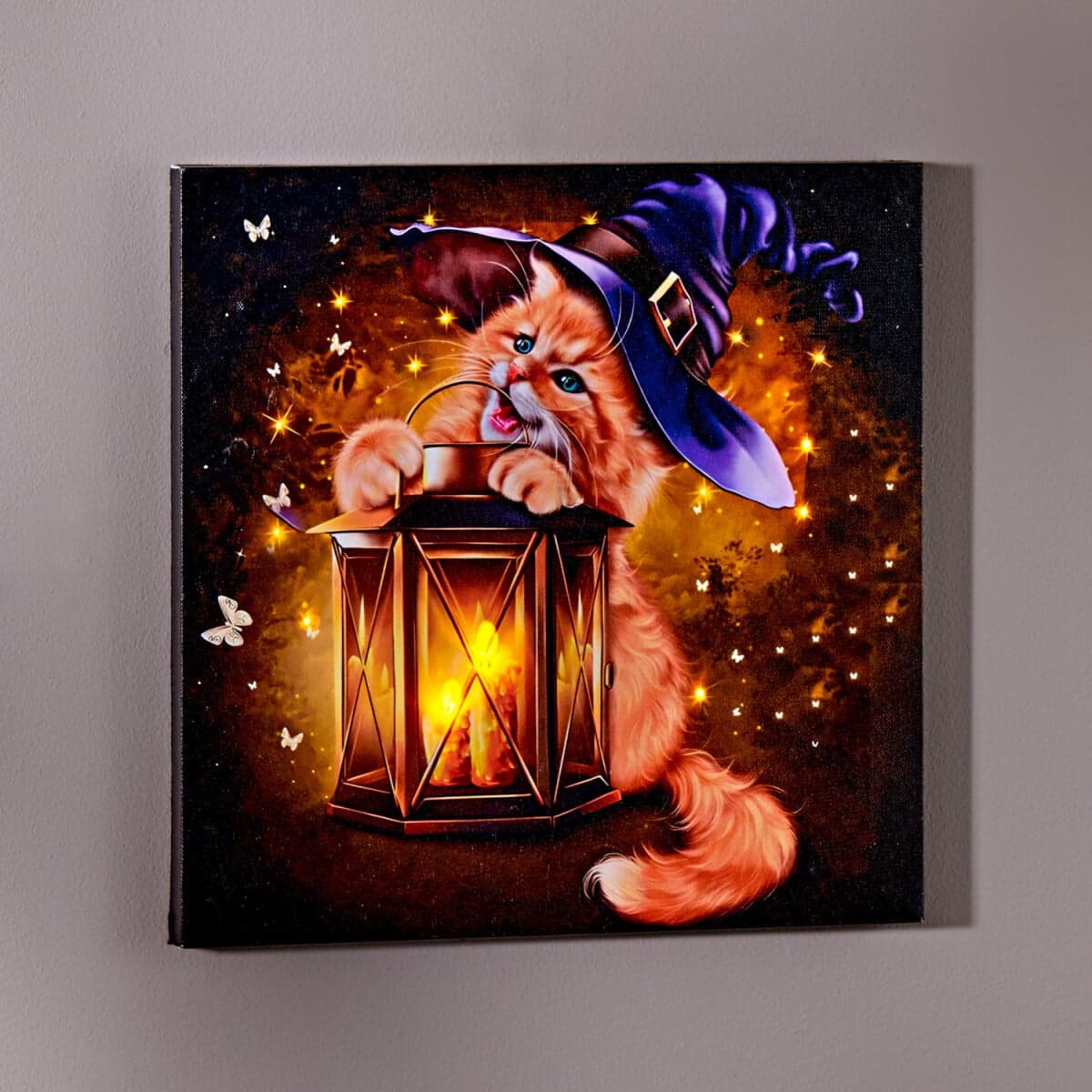 LED obraz Kocúr s lampášom