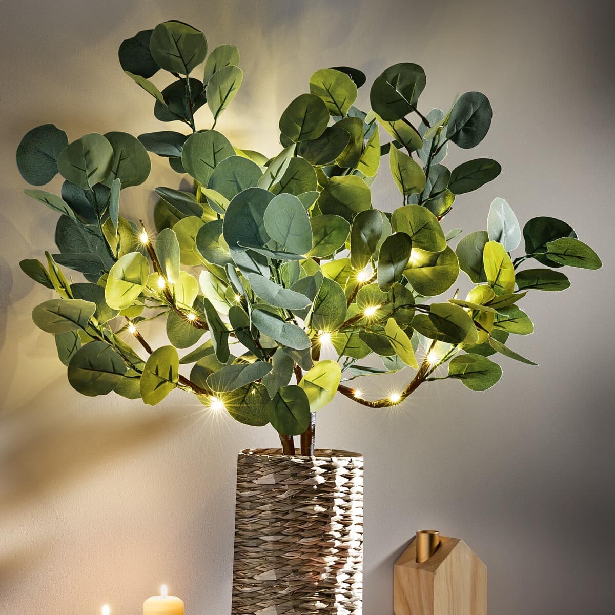 LED dekorácia Eukalyptus 1