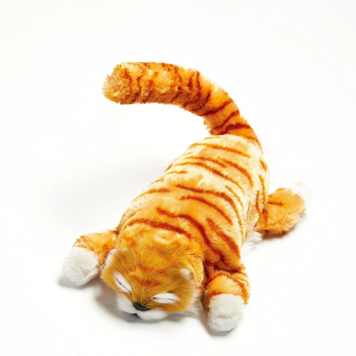 Mačka Ginger 1