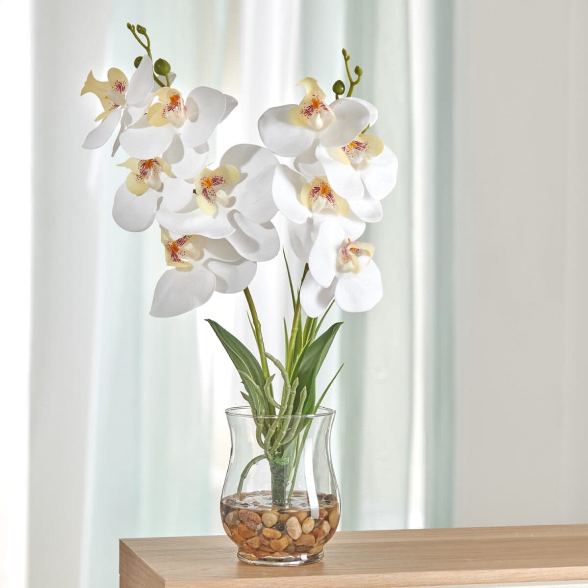 Orchidea v skle 1