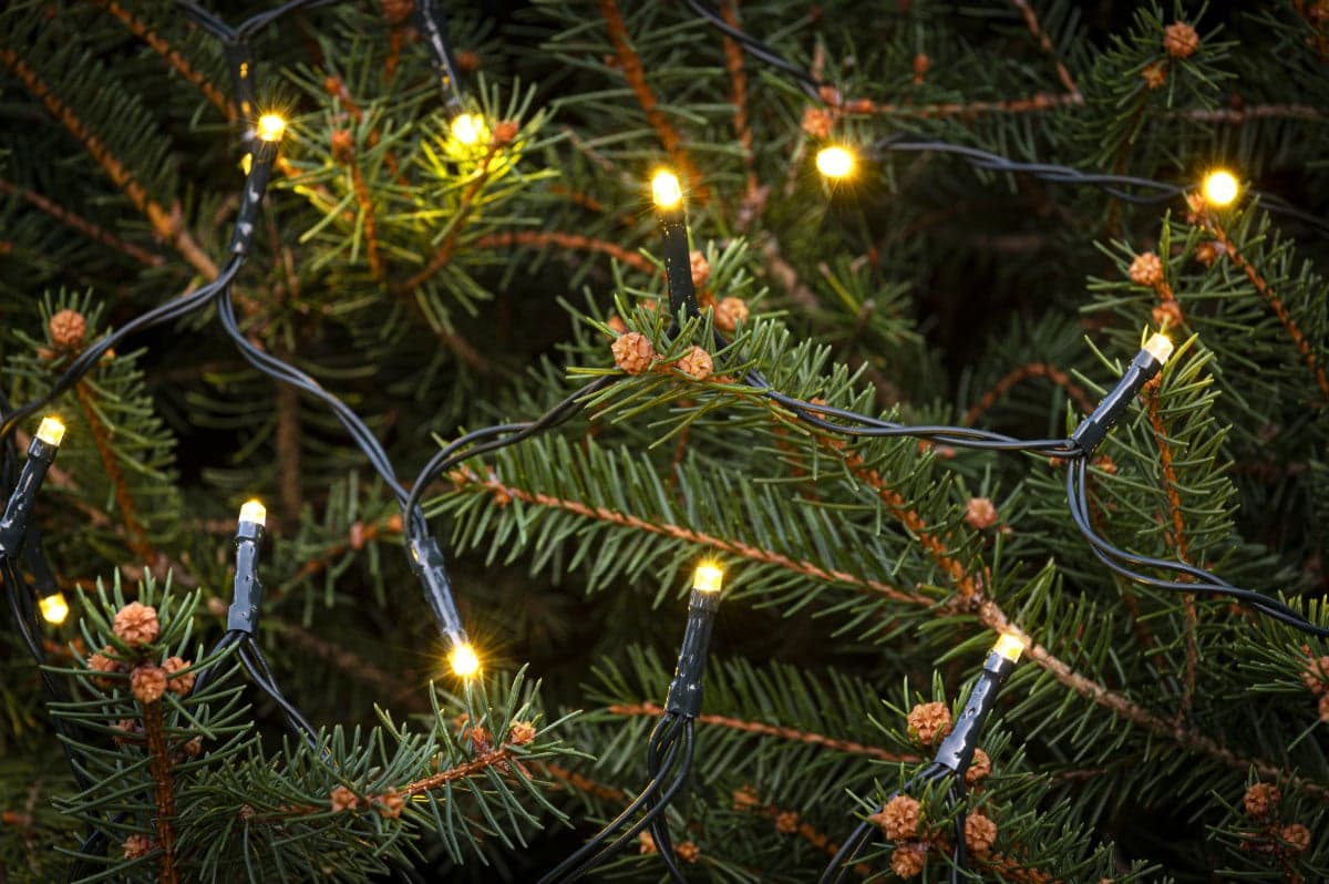 Svetelná reťaz 160 LED vonkajšia / vnútorná