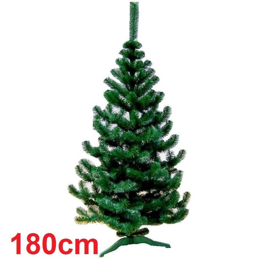 Vianočný stromček jedla obyčajná 180 cm 1
