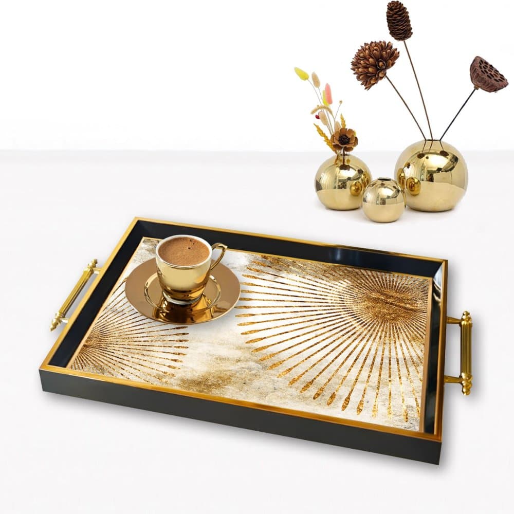 Tray TPA9849 1