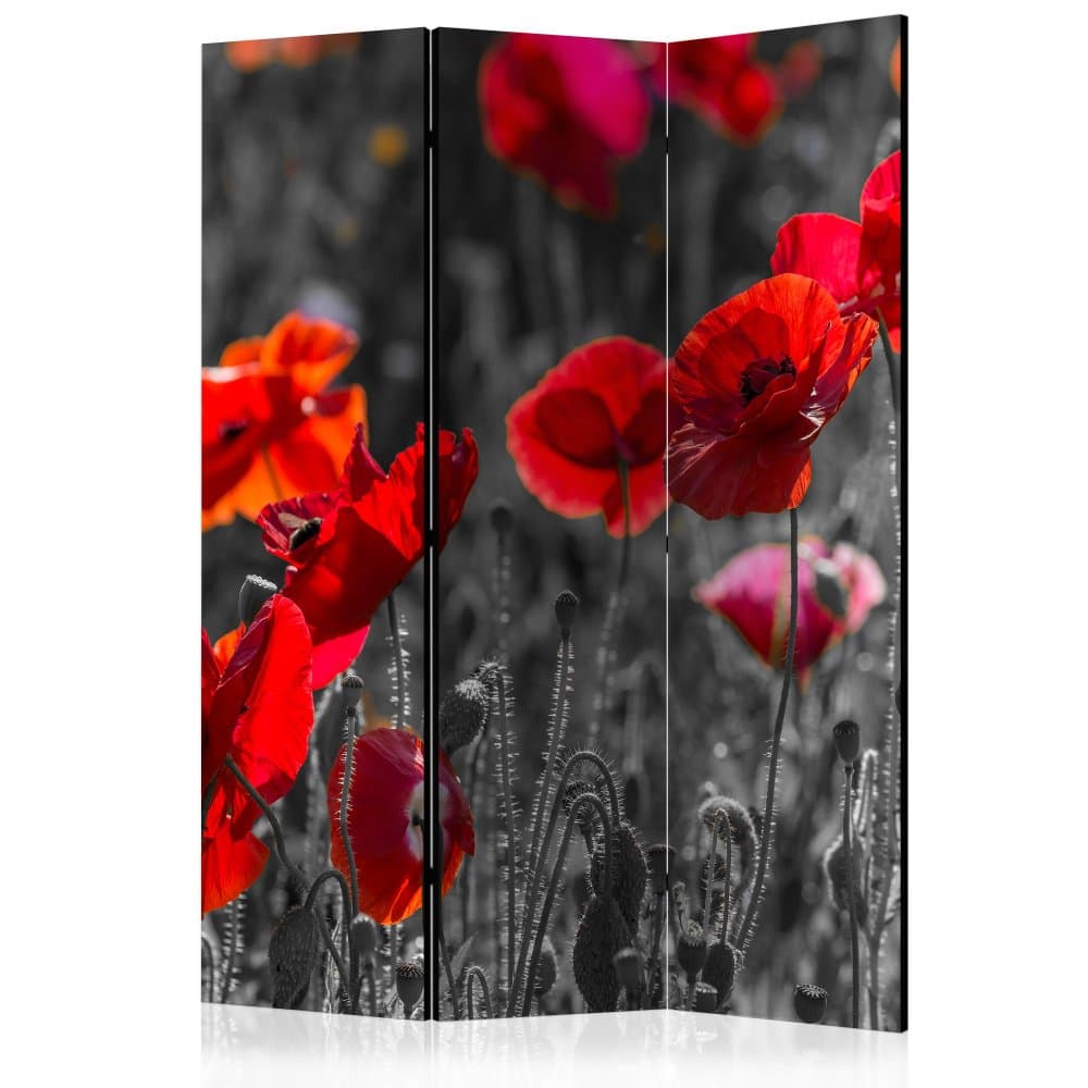 Paraván Red Poppies Dekorhome 1