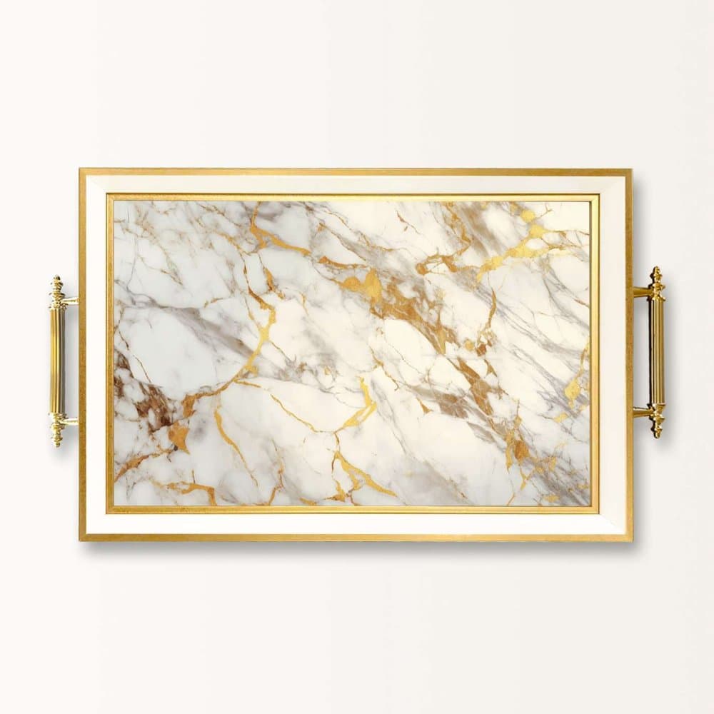 Tray TPB10042 1