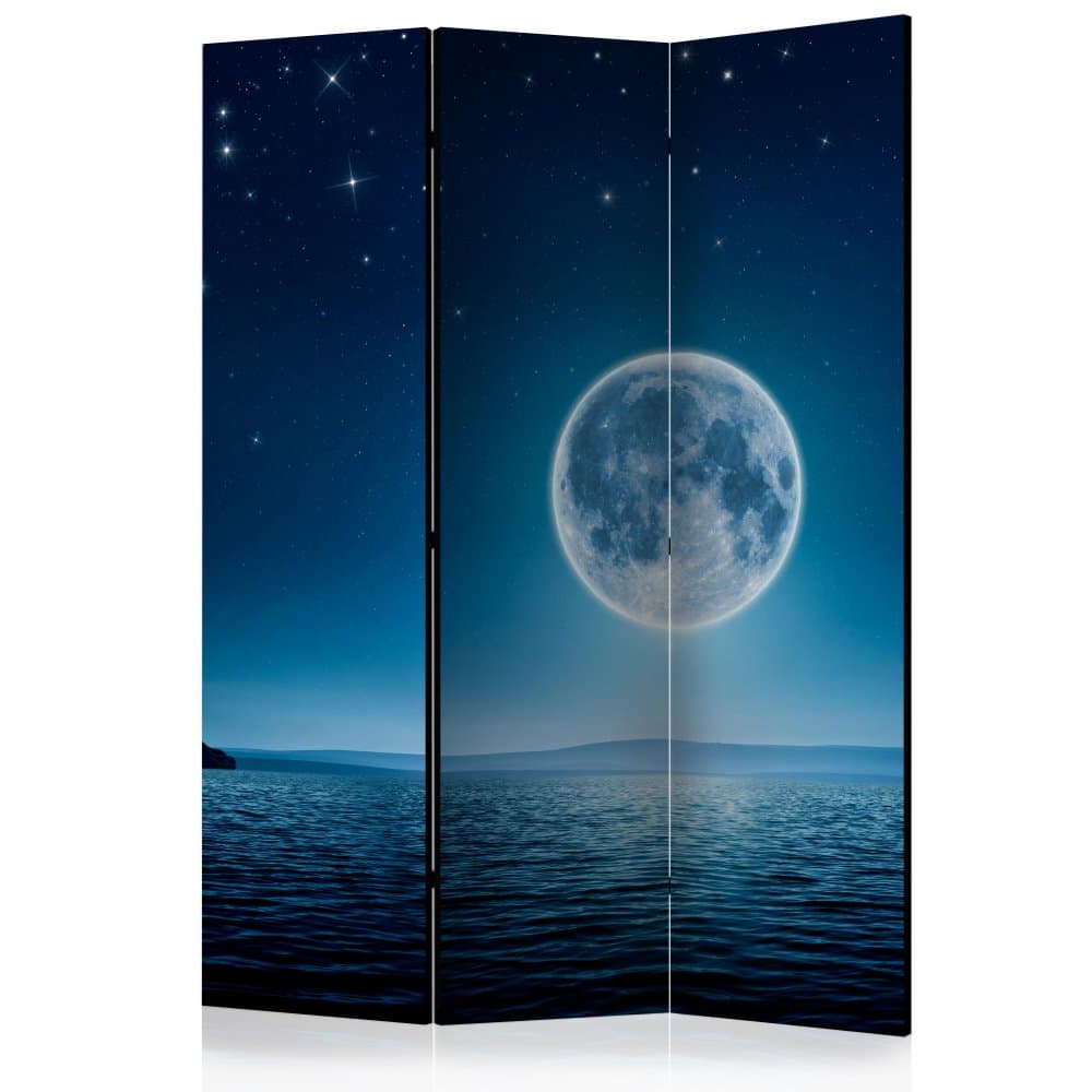 Paraván Moonlit night Dekorhome 1